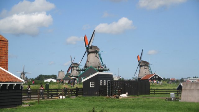 img_2772.jpg